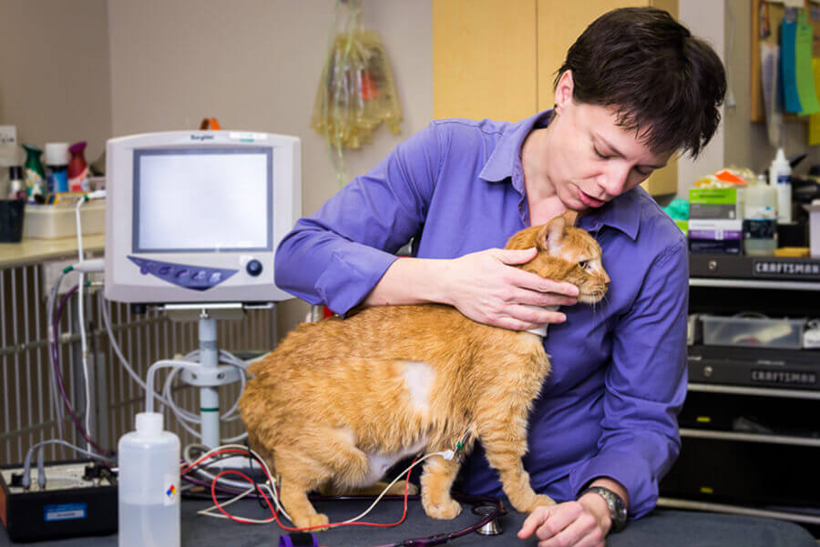 Dr Cannizzo with a patient in ICU